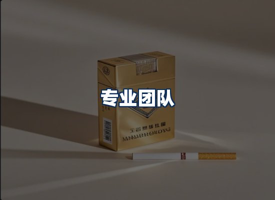专业团队